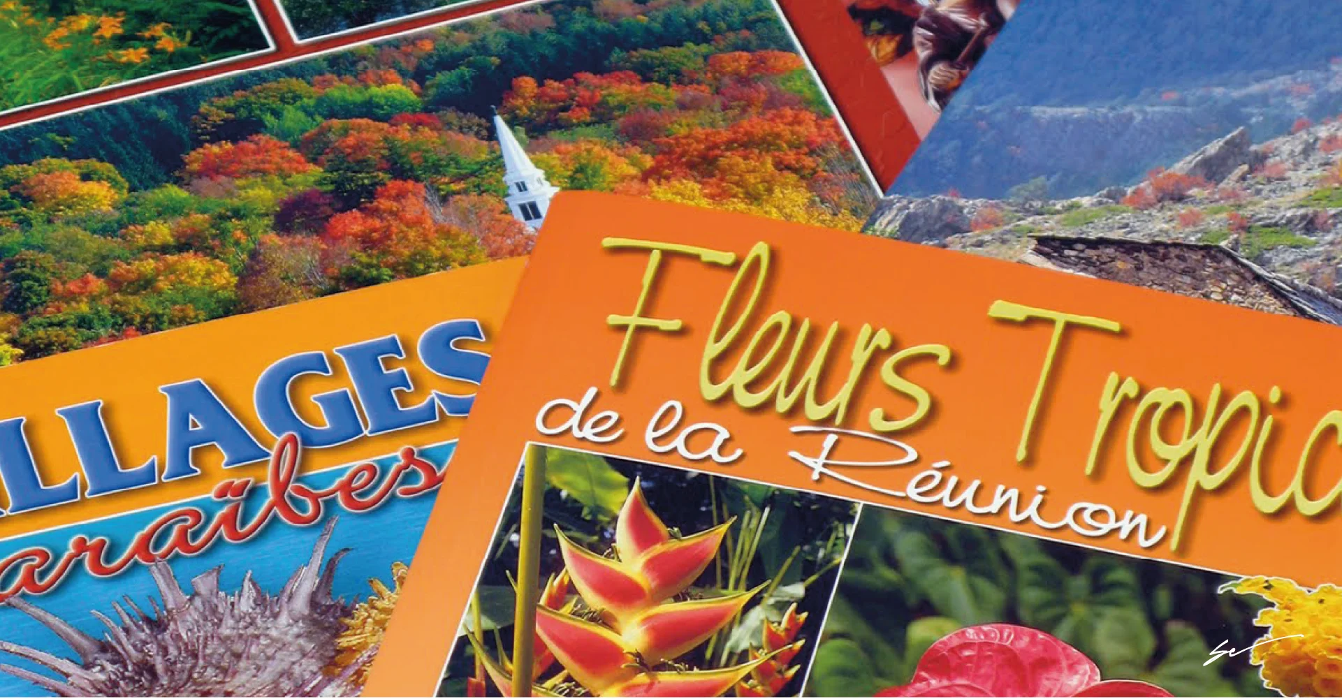 stampa di cartoline e calendari