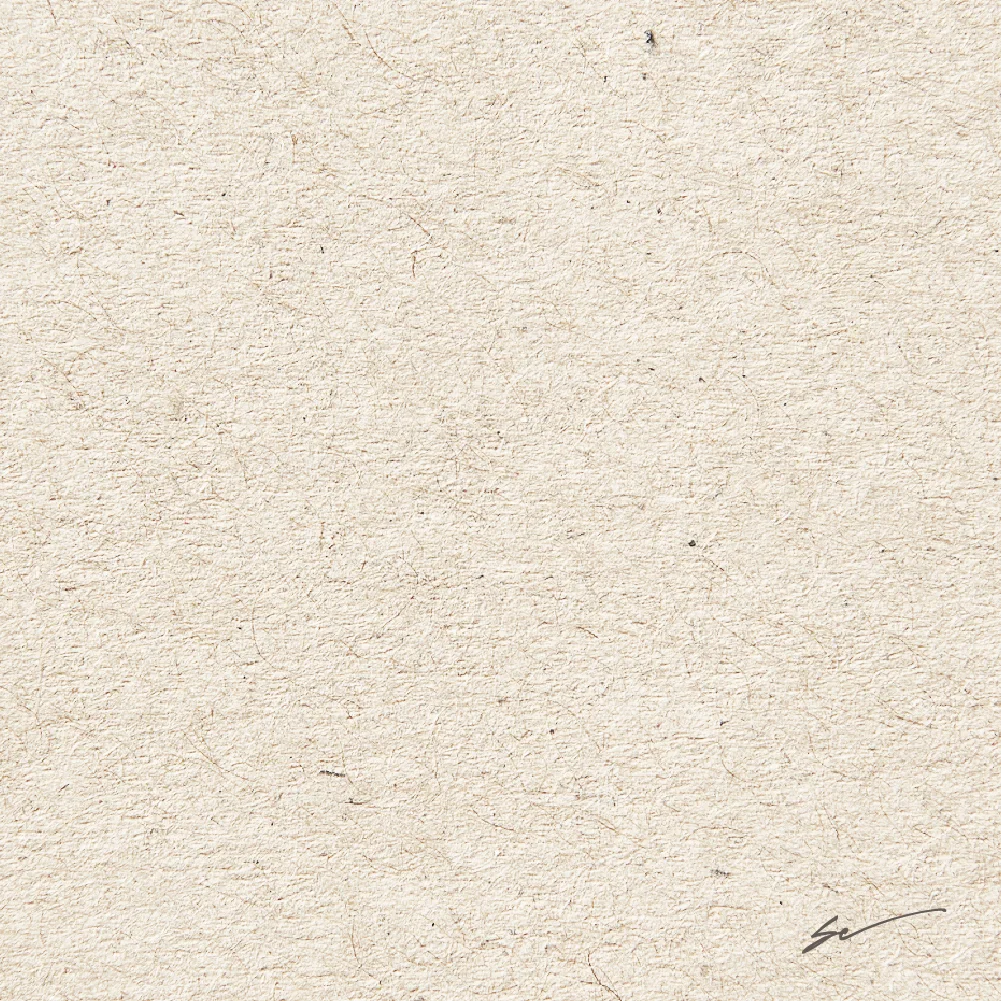 carta riciclata o ecologica