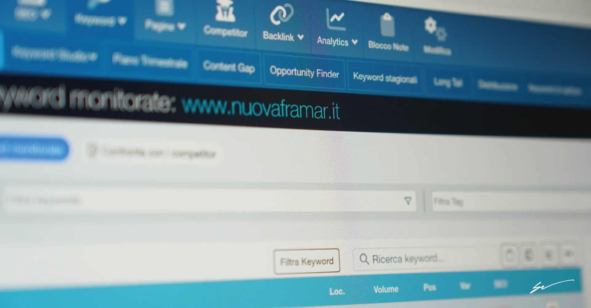 Strategia SEO e analisi SeoZoom