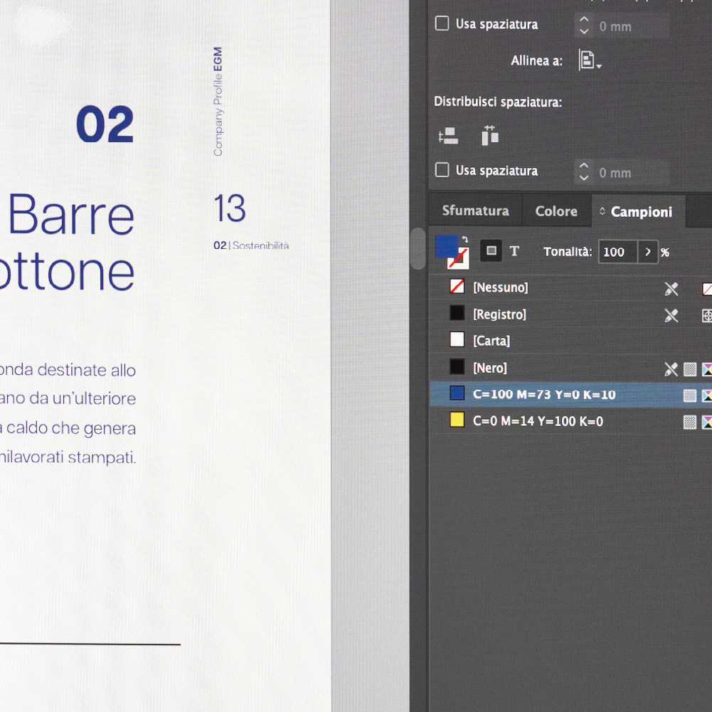 Impostazione Grafica in InDesign per il Rebranding Impostazione Grafica in InDesign per il Rebranding