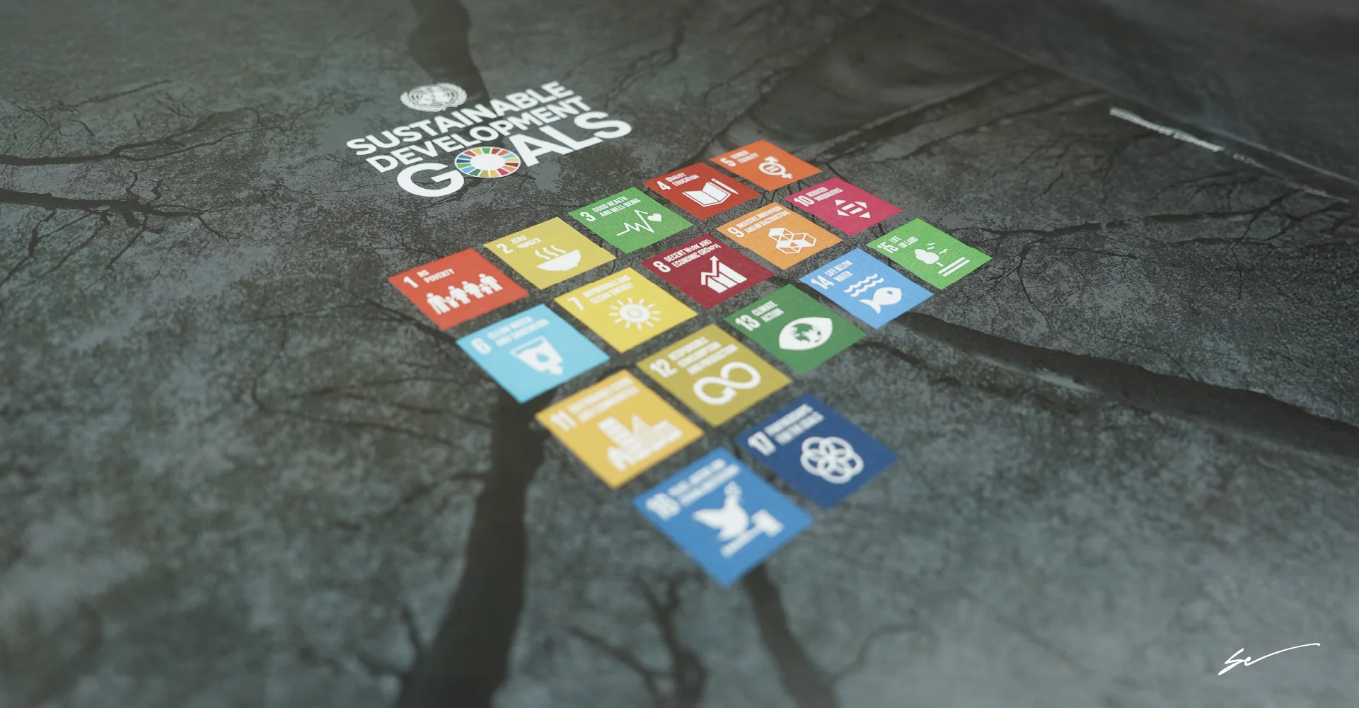 grafica sette responsabilita eco-sostenibile sul territorio